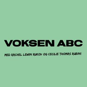 Voksen ABC by Rachel Lewin Rukov og Cecilie Thomas Rubini