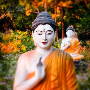 The Poetry of Illusion - Haiku