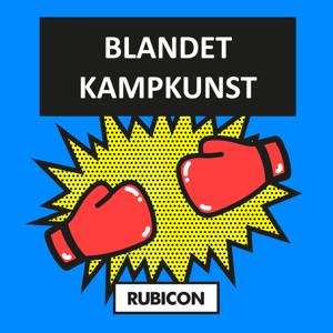 Blandet kampkunst