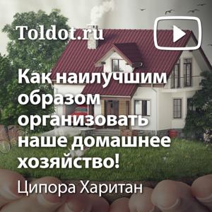 Ципора Харитан  — Как наилучшим образом организовать наше домашнее хозяйство!