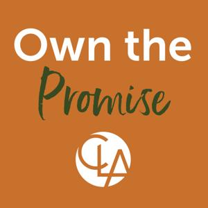 Own The Promise