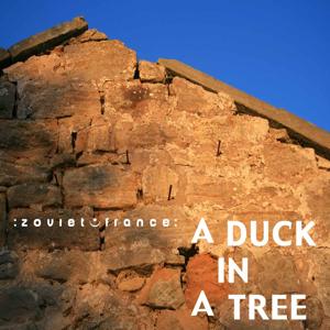 A Duck in a Tree by :zoviet*france: