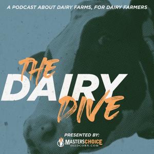 The Dairy Dive by Masters Choice