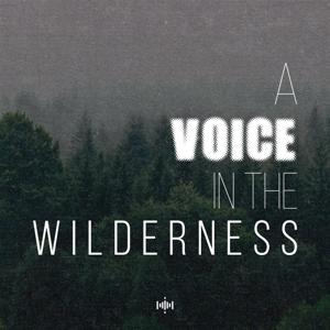 A Voice In The Wilderness