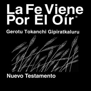 Yine Biblia (no dramatizada) - Gerotu Tokanchi Gipiratkaluru Bible (Non-Dramatized)