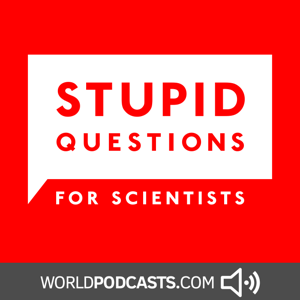 Stupid Questions for Scientists