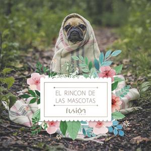 El Rincón de las Mascotas