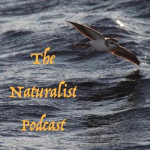 The Naturalist Podcast