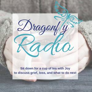 DRAGONFLY RADIO