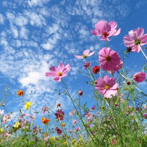 公务员面试锦囊妙记