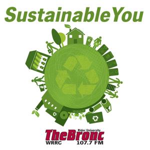 Sustainable You