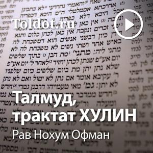 Рав Нохум Офман  — Талмуд, трактат Хулин