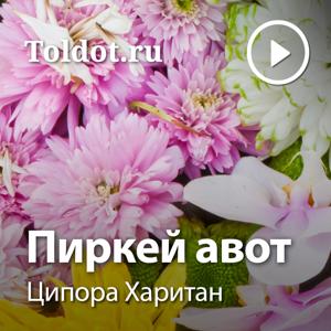 Ципора Харитан  — Пиркей Авот (Поучения отцов)