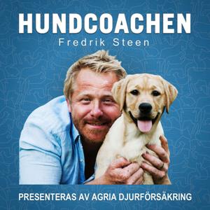 Hundcoachen Fredrik Steen by I LIKE RADIO