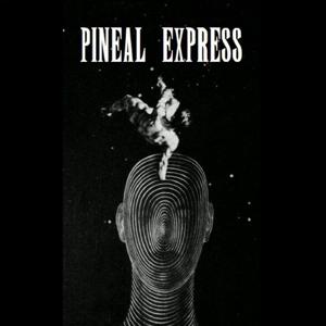 Pineal Express