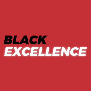 Black Excellence: The Untold Stories of Passion, Persistence, and Perseverance | Entrepreneurship | Building Wealth | Passive Income | Healthy Living | Make Money Online