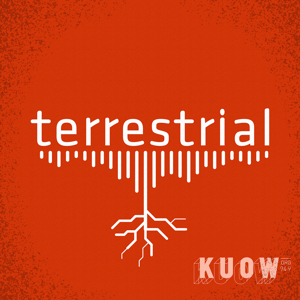 terrestrial