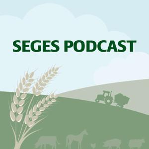 SEGES Økonomi og virksomhedsledelse by SEGES PODCAST