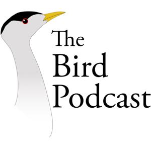 Bird Podcast with Shoba Narayan