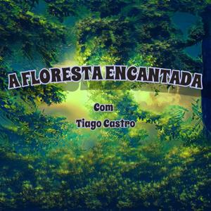 A Floresta Encantada