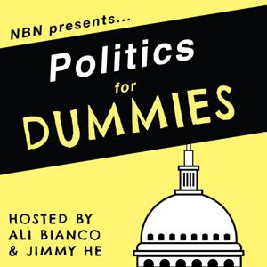 Politics for Dummies