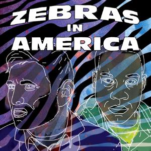 Zebras In America by Zebras In America