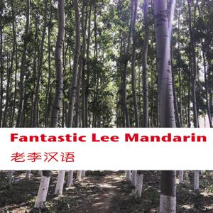 Fantastic Lee Mandarin老李汉语