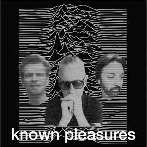 Known Pleasures by Gang Of Three