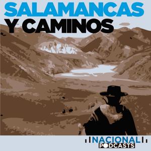 Salamancas y Caminos