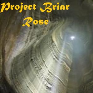 Project Briar Rose