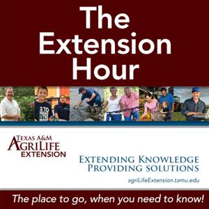 Montgomery County Texas A&M Agrilife Extension