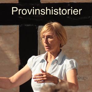 Provinshistorier