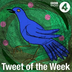 Tweet of the Week
