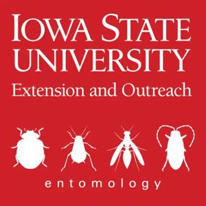 Soybean Pest Podcast