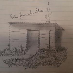 Notes From The Shed