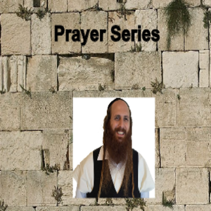 Prayer Series with Rav Dror