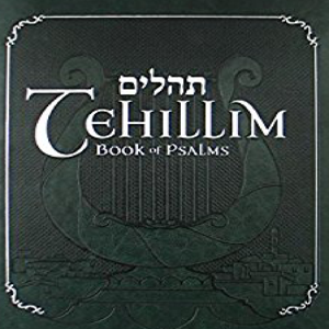 Tehillim (Psalms) Series with Rabbi Yosef Mitzrachi