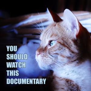 You Should Watch This Documentary