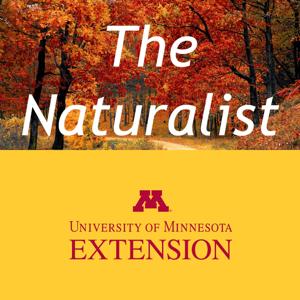 The Naturalist