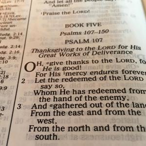 An English Prof Reads the Bible