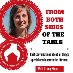 Views From Both Sides of the Table: Special Needs| Parenting| Education