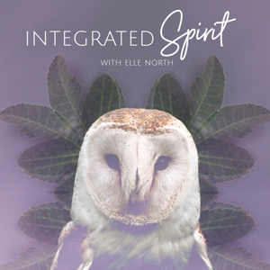 Integrated Spirit