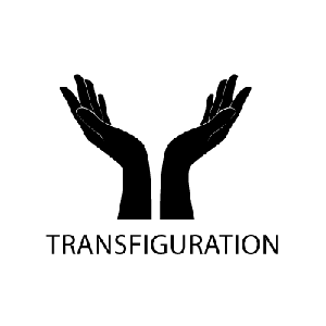 Transfiguration  from BFF.fm