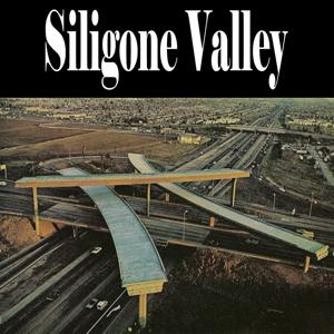 SiliGone Valley