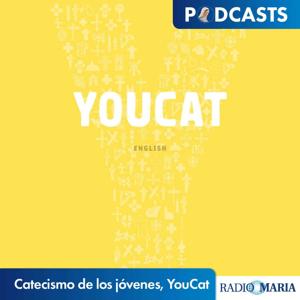 Catecismo de los jóvenes, YouCat