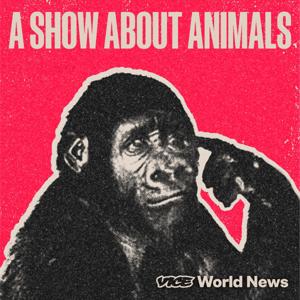 A Show About Animals by VICE