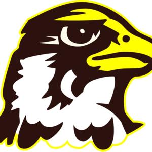 QU Hawks Football Weekly Extra Podcast