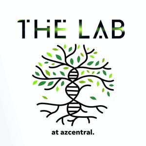 The Lab at azcentral