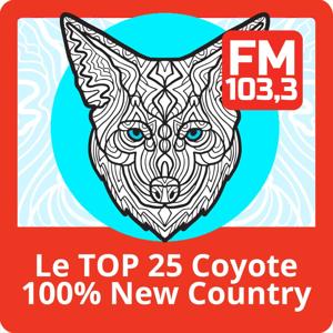 Le Top 25 New Country