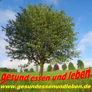 Gesund Essen und Leben - der Podcast mit Gerald Rauch